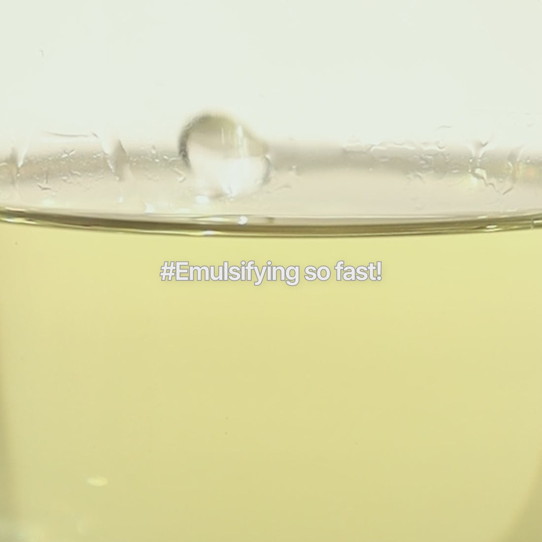 eec0055196d545a984a81b6571172e29.thumbnail.0000000000