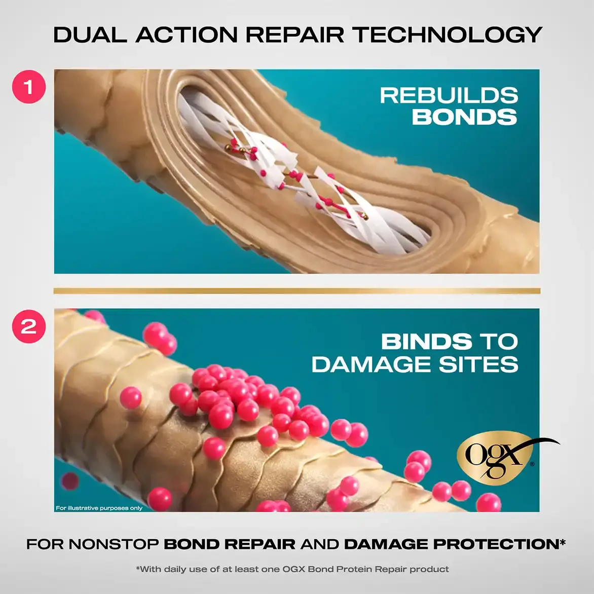 OGX_BondRepairMOA_Still
