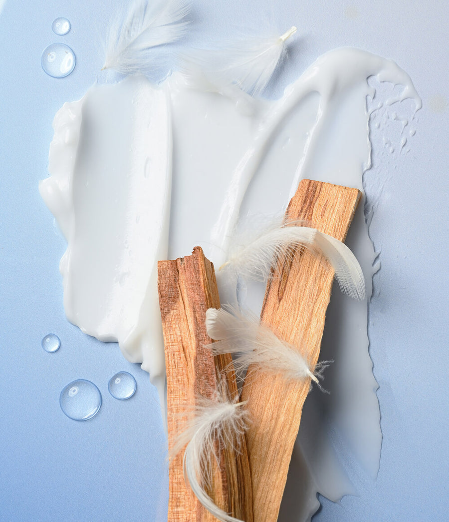 COREBODYMIST_FC_Flavorcue_1000X1161_2 (1)
